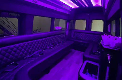 1-14 Passenger New Limo Van