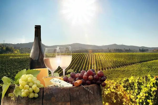 Wine Tours