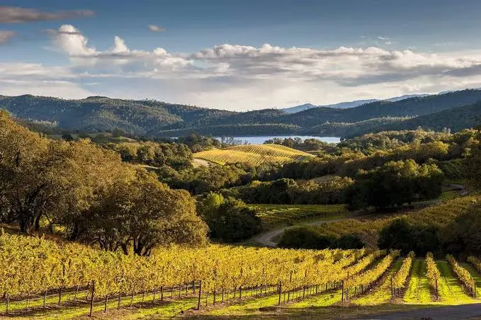 Concord Wine Tours Limo Service
